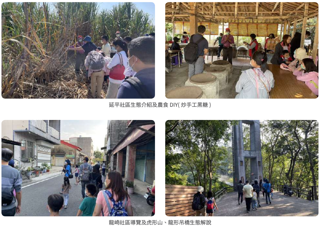 南科生態導覽活動情境照