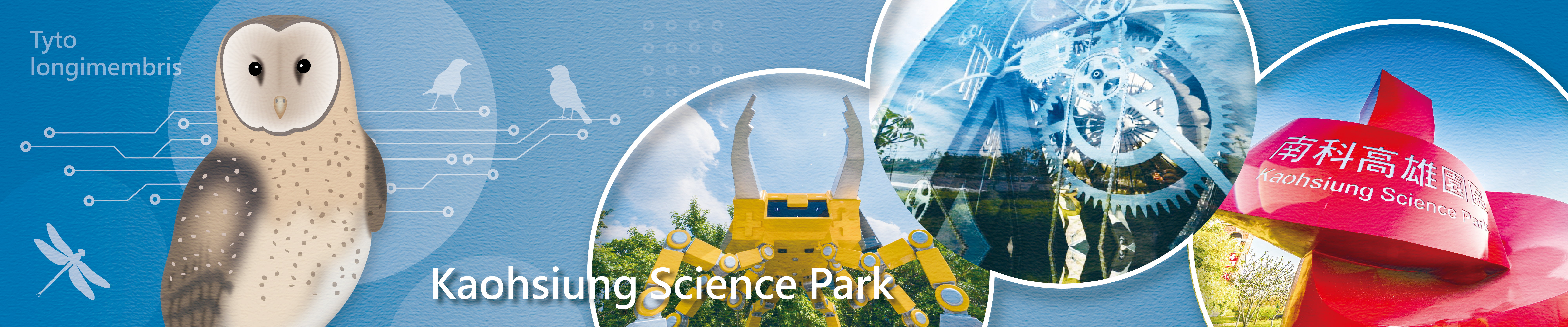 STSP promotes a friendly environment and ecological conservation