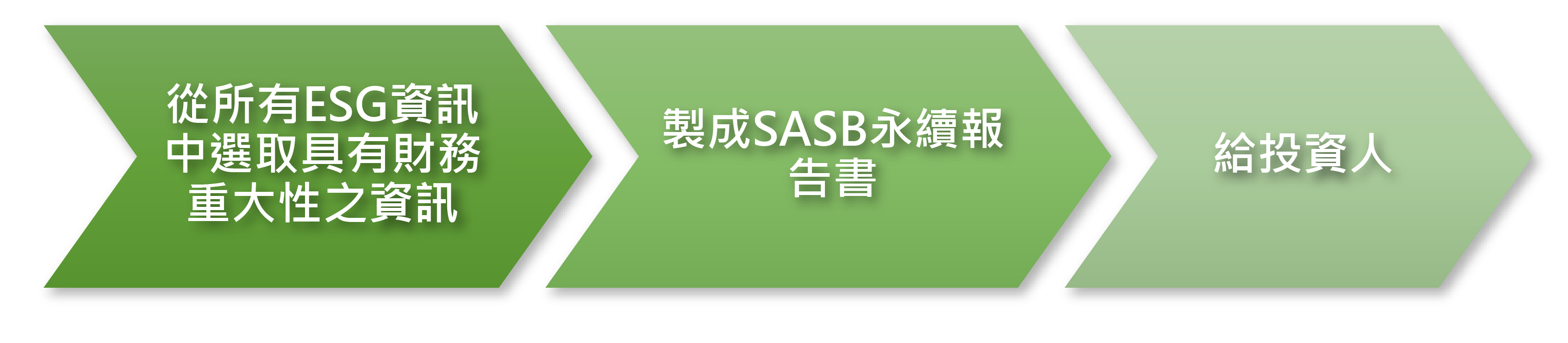 SASB 準則架構說明圖(1)