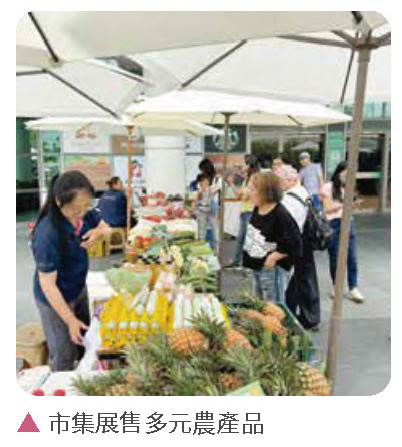 健全園區機能,樂活藝文南科-南科小農市集進駐Park17相關照片