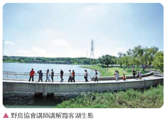 健全園區機能,樂活藝文南科-攜手企業推動淨湖行動相關照片