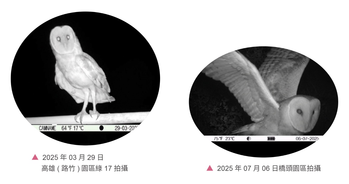 低碳生態社區,建築與環境共生共利-生態聚落相關照片