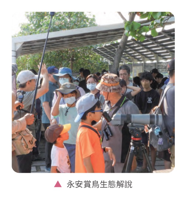 低碳生態社區,建築與環境共生共利-生態聚落相關照片